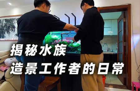 水族造景工作者的神秘日常：揭秘背后的故事！