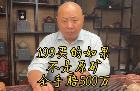 199元紫砂壶真相揭秘：卖家承诺与品质探秘