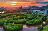 惠州大亚湾红树林城市湿地公园：鹭鹭的天堂