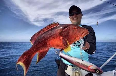 海外钓鱼：外国小伙子在无风海域使用美式抄网捕获巨型鱼类！