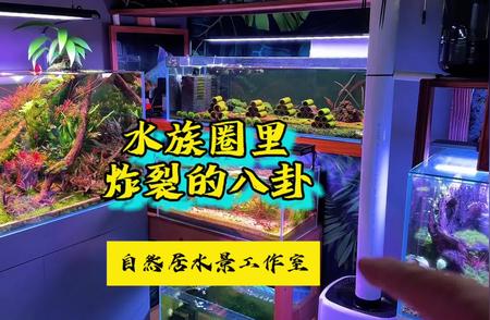 水族圈炸裂新闻！水草造景新潮流引领潮流！