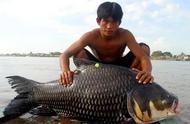 邓刚大师泰国游钓行：四大巨物鱼种盘点