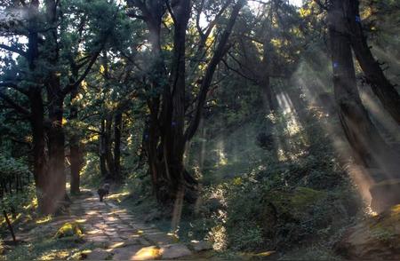 冬日徒步古蜀道，发现最实惠的旅行方式