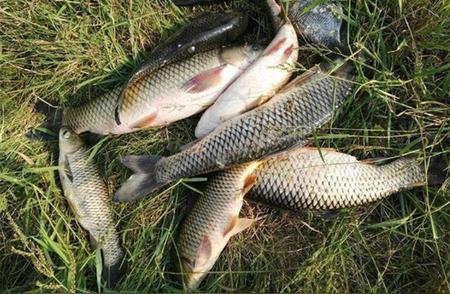 春季野钓江河水库技巧：如何正确选择鱼窝鱼道，提高钓鱼成功率