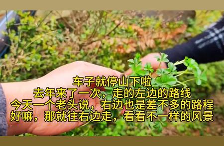 探索徒步之旅：全程11公里的冒险