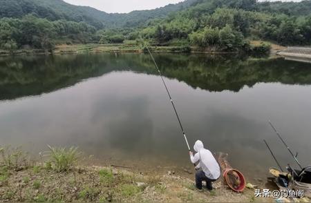 新手钓鱼者的四个关键步骤：如何正确处理大鱼