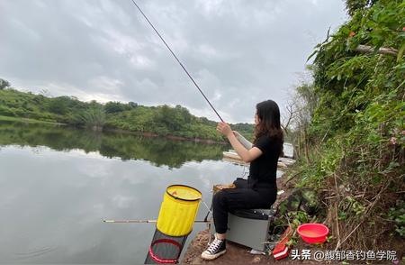 钓鱼新手必知：四种难以捕获的鱼情及应对策略