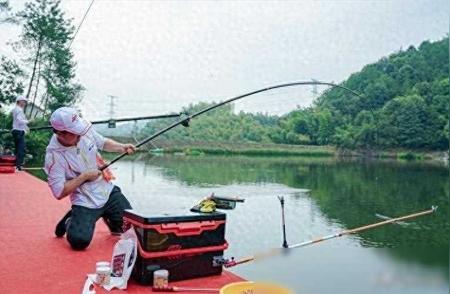 钓鱼高手秘籍：水库选竿与选择钓点的秘诀