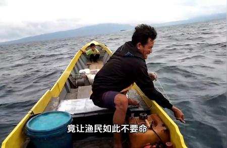 父子海上钓鱼之旅，意外捕获几十斤重巨鱼