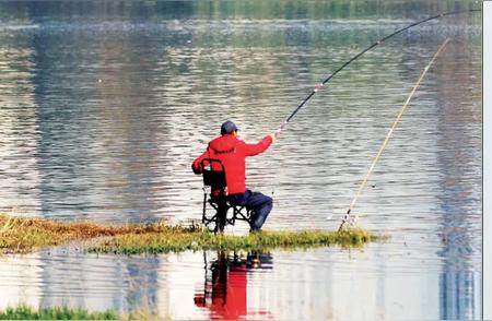 揭秘江湖垂钓：鲢鱼与鳙鱼习性全解析