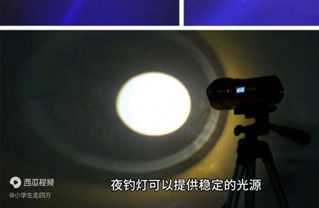 选择夜钓装备：灯还是夜光漂？