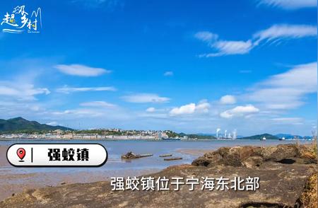 浙江宁海揭秘：成为海钓爱好者天堂的意外之地