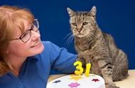 如何让你的猫咪活得更长久：你需要了解的长命猫品种