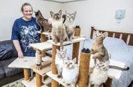 英国女子的猫痴情：繁育了153只稀世亚洲猫咪