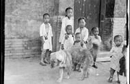揭秘百年前中华田园犬的形态：一组老照片带你穿越时空