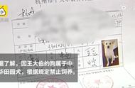 杭州大爷申请宠物证遭拒，中华田园犬被列为禁养品种