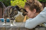 失踪13年的虎斑猫终于回家！17岁老猫重逢主人瞬间感动落泪