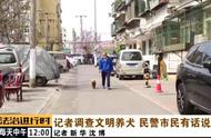 北京出台新规，解决遛狗不文明引发的冲突问题