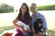 2012年，威廉夫妇的9岁爱犬Lupo结束了皇室生活