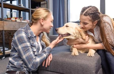 金毛犬：默默承受的宠物，悲惨命运的背后