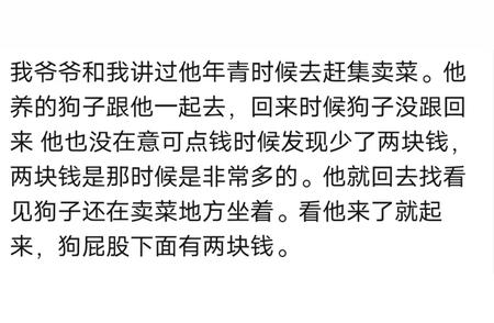 中华田园犬的聪明程度：老祖宗的选择值得信赖，网友家的狗狗都快要成精了