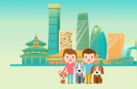 北京养犬新规：法律指南与必备知识（上篇）