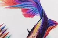 彩铅艺术：轻松画出七彩金鱼的秘诀