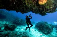 海底珊瑚种植者的故事