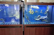 冬季水族馆必备：三缸鱼的养殖指南