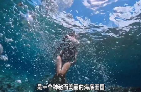 海底的宝藏：美人鱼的秘密发现