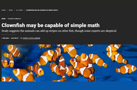 小丑鱼尼莫：科学杂志揭示其数学能力，将成精？