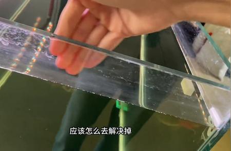 水族爱好者的天堂