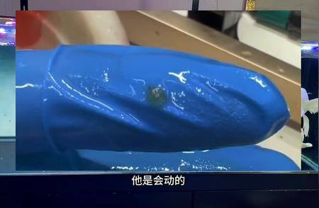 水族爱好者的天堂