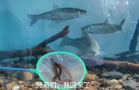 水族爱好者的天堂