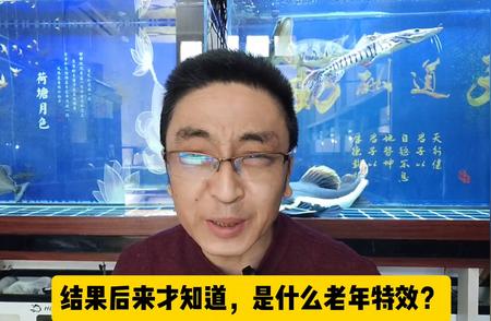 养鱼博主揭秘：为何你不该模仿他人养鱼技巧 #观赏鱼