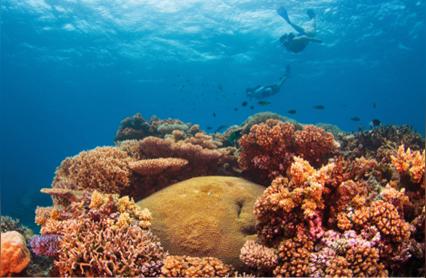澳大利亚大堡礁面临严峻的白化挑战，珊瑚群遭受重创