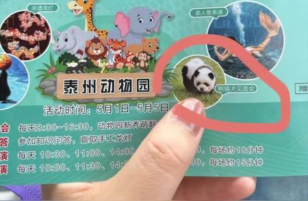 江苏泰州动物园爆红的“熊猫犬”实为染色松狮