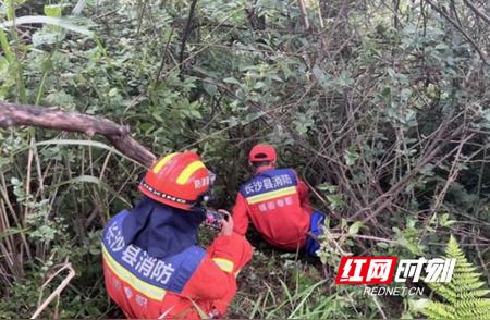 长沙县紧急出动救援队 救助两名深山迷路的“驴友”