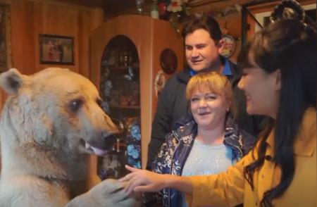 俄罗斯家庭惊人之举：与熊同居共食宿达30年
