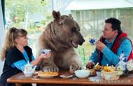 23年深情陪伴：俄罗斯夫妇与小狗熊的感人故事