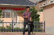 地震预警：刘晓伟揭示狗狗的预测能力