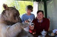俄罗斯夫妇的非传统宠物：家中养了一只熊
