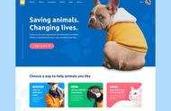 宠物爱好者的天堂：12款可爱至极的网页设计