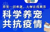 疫情封锁下，宠物主人可享免费在线兽医咨询服务