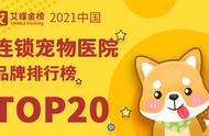 2021年中国顶级连锁宠物医院品牌TOP20揭晓