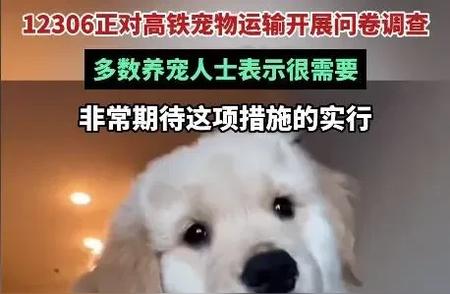 宠物猪上高铁引热议，网友：我养了4头400斤的宠物猪