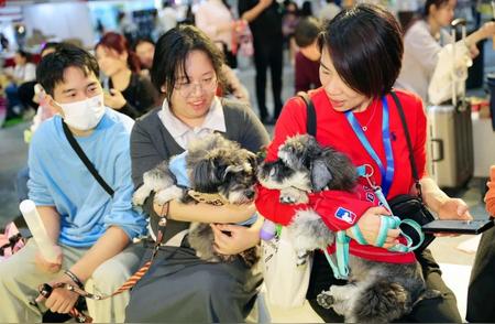 新潮萌宠盛会：广州、武汉、印尼的宠物新势力