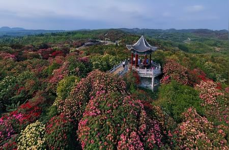 毕节钓鱼好去处：最新水库指南