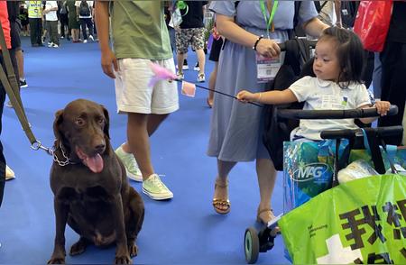 上海宠物展盛大开幕，高端赛犬齐聚一堂