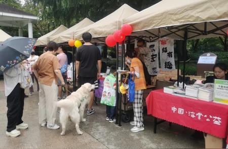 探索万里萌宠市集：宠物美食与爱心领养的完美结合